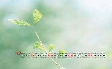 中班12月的工作计划5篇