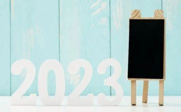 公司财务个人工作总结2023年度来年计划5篇