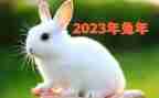 2023年困难申请书精选7篇