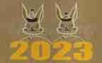 村书记2023工作总结报告7篇