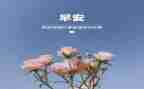 预备党员3月的思想汇报最新8篇