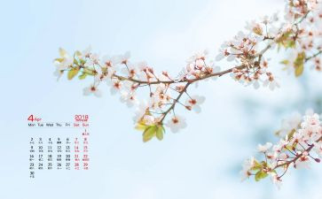 班级4月工作总结8篇