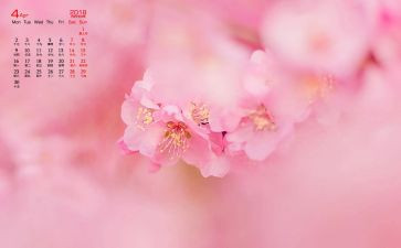 4月的工作总结精选6篇