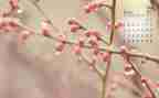 中班4月份工作计划7篇
