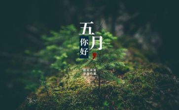 学生会5月工作总结7篇