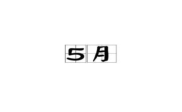 5月工作总结模板7篇