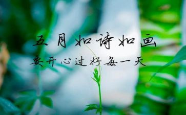 5月工作总结通用6篇