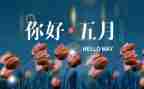 5月12的护士演讲稿8篇