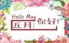教师5月工作总结最新7篇