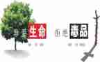 市626禁毒工作讲话稿7篇