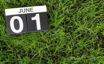 6月幼儿园工作计划6篇