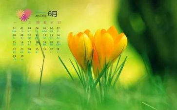 2024年6月工作总结最新8篇
