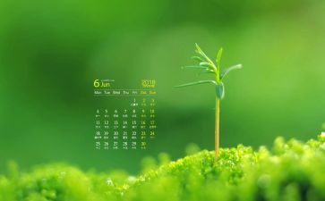 6月工作总结推荐6篇