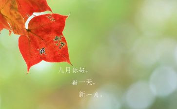 9月份销售工作总结6篇