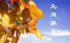 9月找工作总结参考8篇