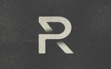 关于r星的调查报告精选7篇