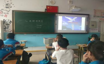 爱国教育班会课教案优质5篇