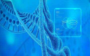 初二生物组工作总结7篇