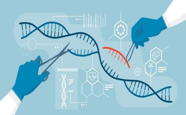 初二生物上学期工作总结7篇