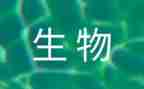 生物高三工作总结优秀7篇