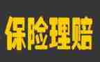 反保险工作总结优质8篇