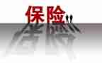 保险业务员年度总结7篇