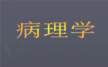 病理科医生工作总结5篇