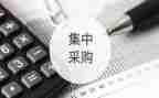采购个人总结参考5篇