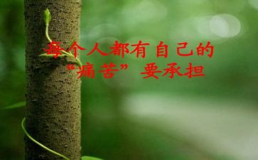 关于承担作文5篇
