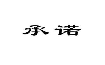 安全零事故承诺书5篇