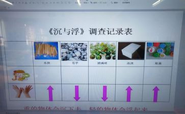 沉与浮的调查报告范文模板7篇