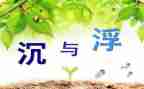 幼儿园教案沉与浮反思最新7篇