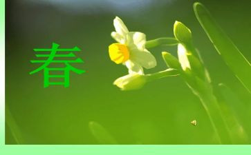 春季工作报告8篇