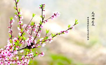 春季开学学生讲话稿8篇