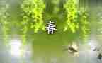 作文春节500字优秀6篇