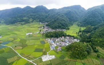 2024年村财务的个人述职报告最新5篇