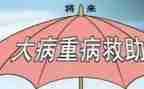 申请书模板大病申请书优秀8篇