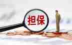 担保公司月工作计划5篇