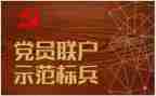 对党工作总结通用6篇