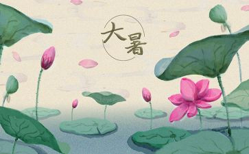 大暑的活动方案5篇