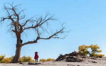 是等待的作文5篇