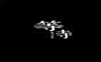 与等待有关的作文推荐5篇