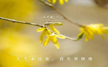 考试的得与失演讲稿参考6篇