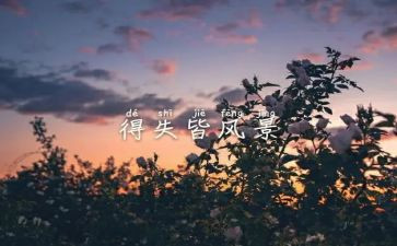 爱的得与失读后感精选6篇
