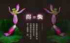 财务人员得与失工作总结参考6篇