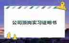 会计顶岗个人总结8篇