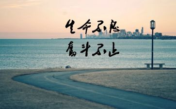 终于懂了你作文模板5篇
