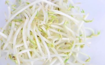 炒豆芽作文参考5篇