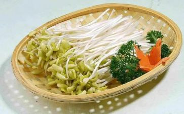 炒豆芽作文300字5篇