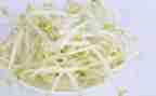 炒豆芽作文600字推荐7篇